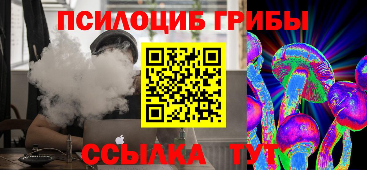 Галлюциногенные грибы Psilocybine cubensis Саранск
