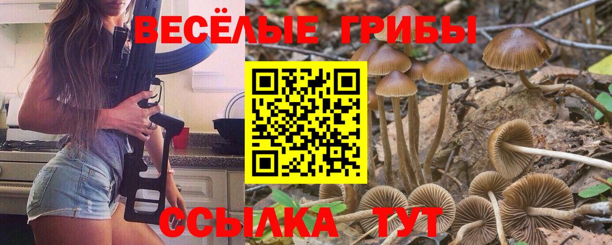 Галлюциногенные грибы Psilocybe  Вход с VPN  Псилоцибиновые грибы мухоморы  Саранск 
